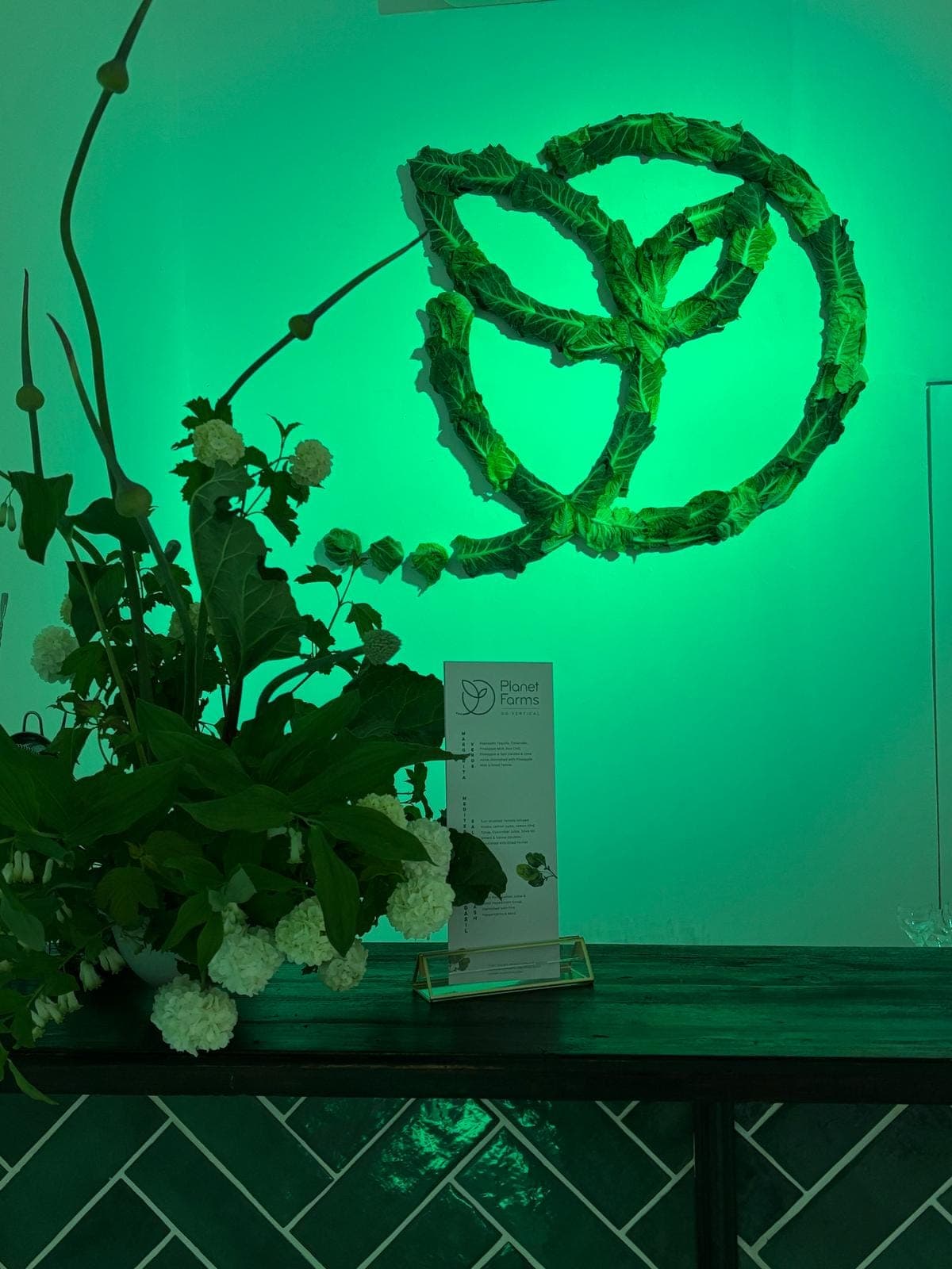 The Thurston leaf logo, built from cabbage leaves, glowing green at an event
